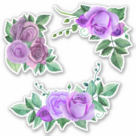 Waterverf paarse rozen. Lila bloemen. Violet Sticker (Voorkant)