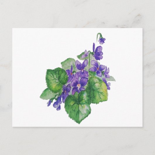 Waterverf Paarse Violet Flower Floral Art Briefkaart (Voorkant)