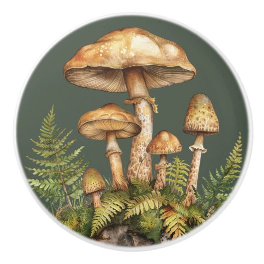 Waterverf paddenstoelen rotsen varens keramische knop (Voorkant)