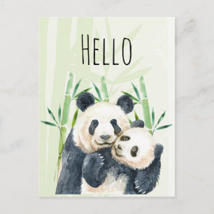 Waterverf Panda Beren Moeder & Baby Hallo in Bambo Briefkaart