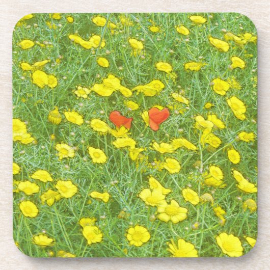 Waterverf papaver bier onderzetter (Voorkant)