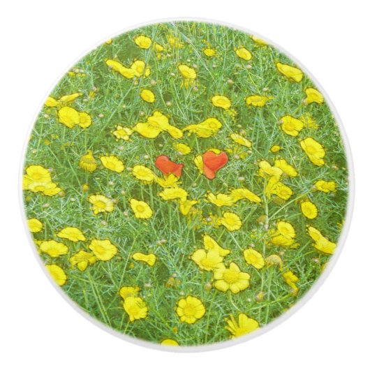 Waterverf papaver keramische knop (Voorkant)