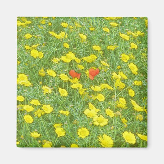 Waterverf papaver magneet (Voorkant)