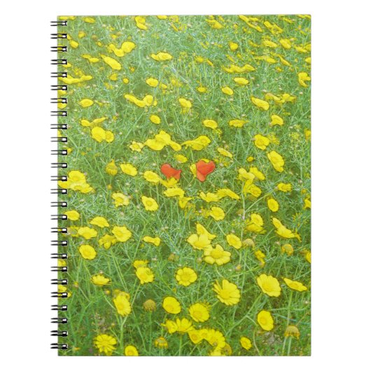 Waterverf papaver notitieboek (Voorkant)