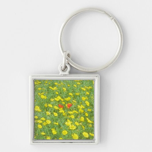 Waterverf papaver sleutelhanger (Voorkant)