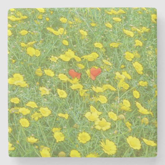 Waterverf papaver stenen onderzetter (Voorkant)