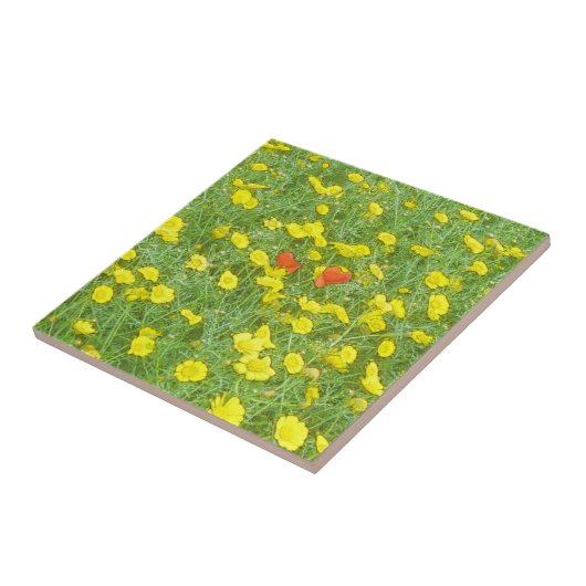 Waterverf papaver tegeltje (Zijkant)