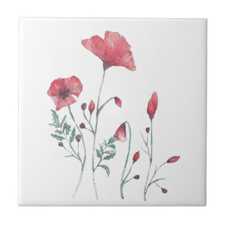 Waterverf papaver tegeltje