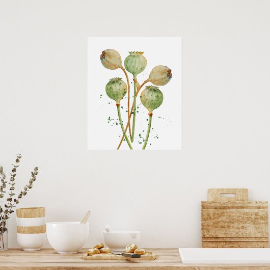 Waterverf papaverzaad poster (Keuken)