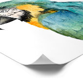 Waterverf Papegaai Vogel Blauwe Goud Ara  Poster (Hoek)