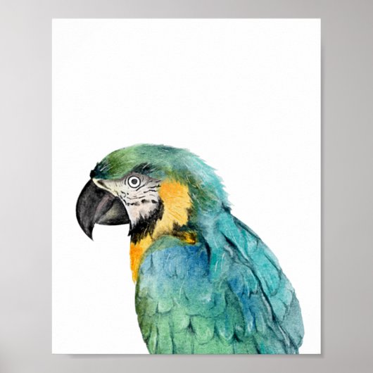 Waterverf Papegaai Vogel Blauwe Goud Ara  Poster (Voorkant)