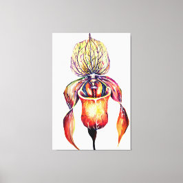 Waterverf Paphiopedilum Orchid in levendige kleure Canvas Afdruk