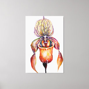 Waterverf Paphiopedilum Orchid in levendige kleure Canvas Afdruk