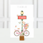 Waterverf Parijs roze fiets Kaart