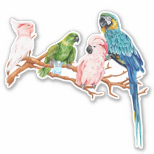 Waterverf Parrots Macaw Cockatau Paraket Sticker