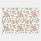 Waterverf Pastel Rozen Inpakpapier Vel (Voorkant)