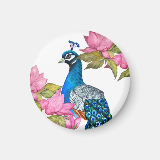 Waterverf pauw magneet (Voorkant)