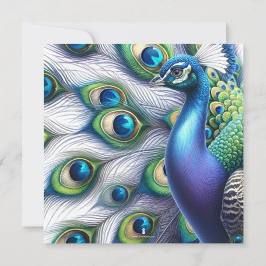 Waterverf Peacock Bruiloft Save The Date Kaarten (Achterkant)