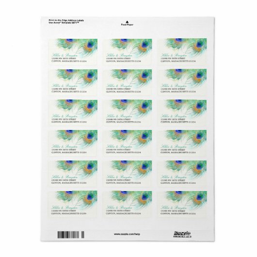 Waterverf Peacock Feather Adres Etiket (Full Sheet)