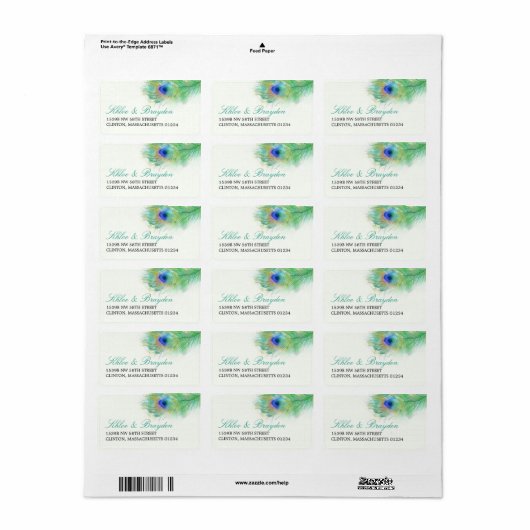 Waterverf Peacock Feather Adres Etiket (Full Sheet)