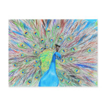 Waterverf Peacock Painting