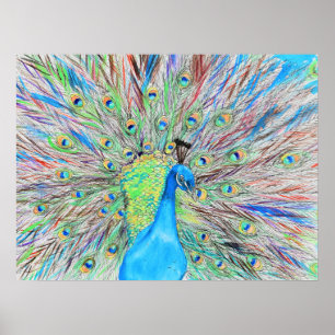 Waterverf Peacock Painting Poster