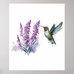 Waterverf Penstemon Flower and Hummingbird Poster