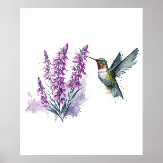 Waterverf Penstemon Flower and Hummingbird Poster (Voorkant)
