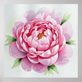 Waterverf Peony Poster