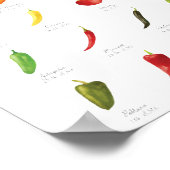 Waterverf Pepper Varieties Infografisch Poster (Hoek)