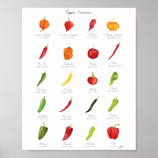 Waterverf Pepper Varieties Infografisch Poster (Voorkant)