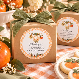 Waterverf Persimmon Baby Shower Een Klein Moppie Ronde Sticker