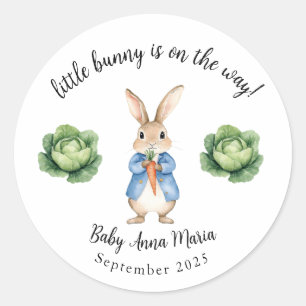 Waterverf Peter Rabbit Garden Kool Baby shower Ronde Sticker