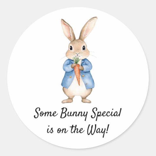 Waterverf Peter Rabbit Garden Party Baby shower Ronde Sticker (Voorkant)