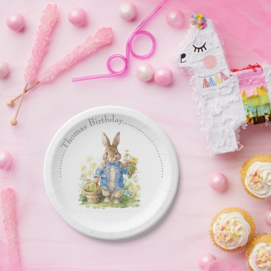 Waterverf Peter Rabbit Verjaardag Papieren Bordje (Feest)