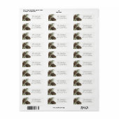 Waterverf Pine Sprigs, Retouradreslabels Etiket (Full Sheet)