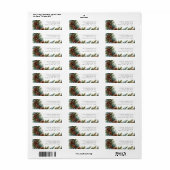 Waterverf Pinecones en Spruce Holiday Etiket (Full Sheet)