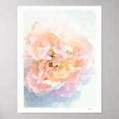 Waterverf Pink Peony poster, kunstdruk Poster (Voorkant)