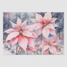 Waterverf Pink Snowy Poinsettia Flowers