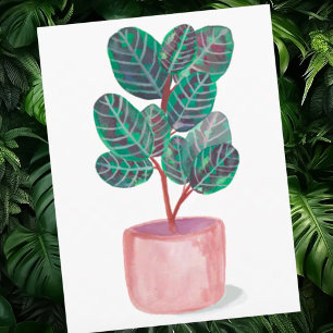 Waterverf Plant Calathea Prayer Briefkaart