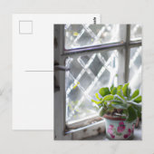 Waterverf  Plant in het venster Briefkaart (Voorkant / Achterkant)