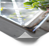 Waterverf  Plant in het venster Poster (Hoek)