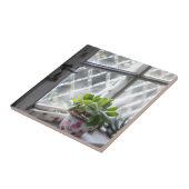 Waterverf  Plant in het venster Tegeltje (Zijkant)