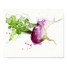 Waterverf Plantaardige keukenkunst, Turnip