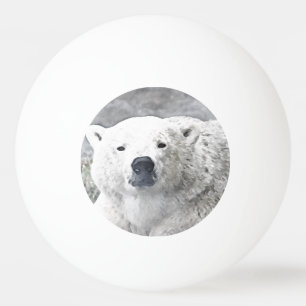 Waterverf Polar Beer Pingpongbal