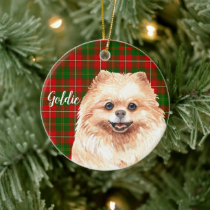 Waterverf pomeranian gepersonaliseerd keramisch ornament