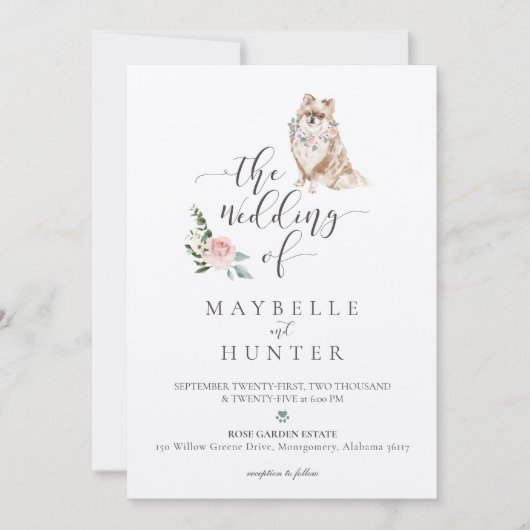 Waterverf Pommeren Pet en Floral Pink Rose Kaart (Voorkant)