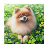 Waterverf Pommerse groene Shamrock veld Tegeltje (Voorkant)