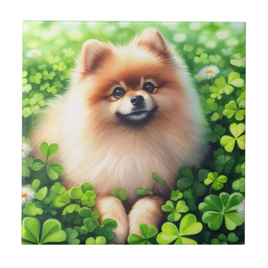 Waterverf Pommerse groene Shamrock veld Tegeltje (Voorkant)