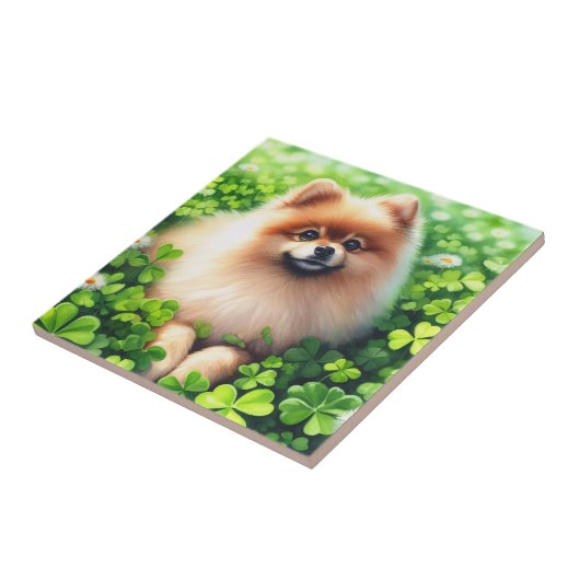 Waterverf Pommerse groene Shamrock veld Tegeltje (Zijkant)